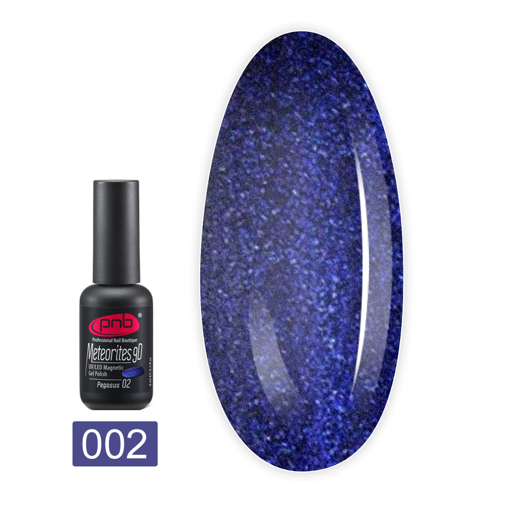 Гель лак PNB Метеорит 9D Magnetic 8 мл (02)