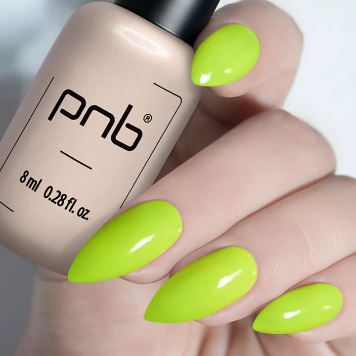 Гель-лак PNB 8 мл (251)