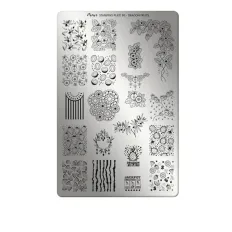 Пластини для стемпінгу Moyra (90 Dragon Fruits)