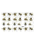 Слайдер на прозорій основі (Д 201)