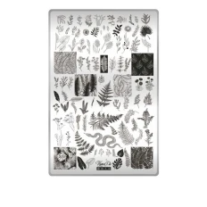 Пластина для стемпінгу ТАКІ ТАК (03 Фіто)