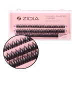 Ресницы ZIDIA Cluster 3 ленты 24D (01C (8.10.12))