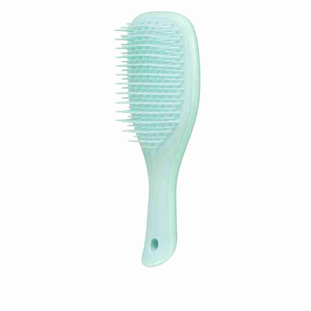 Гребінець Tangle Teezer The Wet Detangler Mini (Sea green)