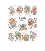 Слайдер DreamNails (для любого фона) (TM-1113)