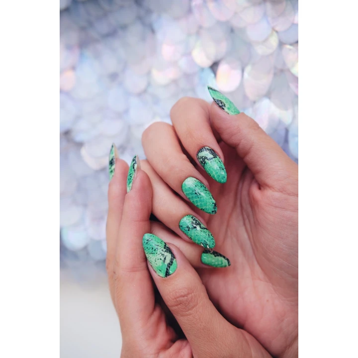 Слайдер Another Nails (Снейк)