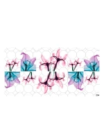 Слайдер YouProfy на прозорій основі (254)