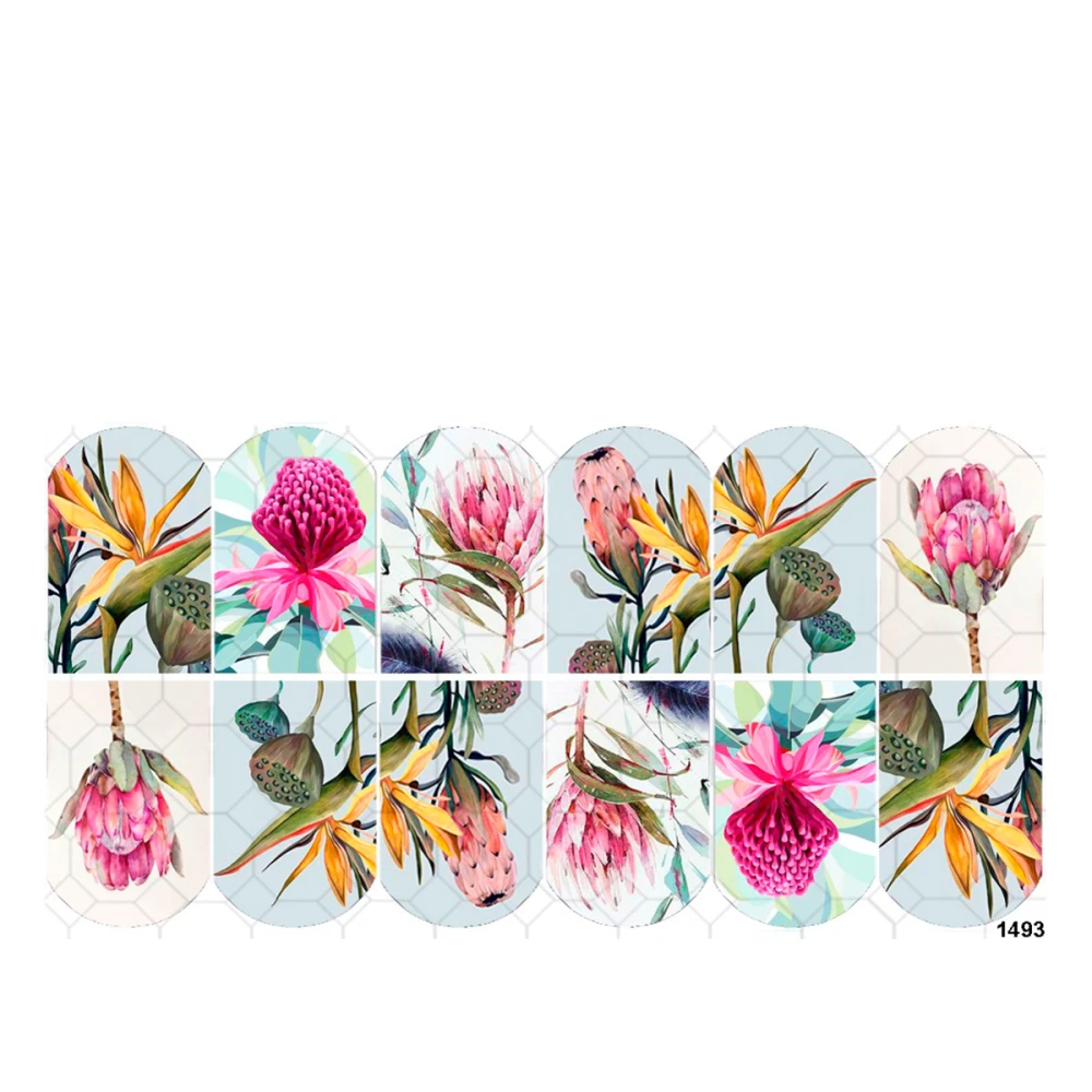 Слайдер YouProfy на прозрачной основе (1493)