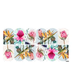 Слайдер YouProfy на прозрачной основе (1493)