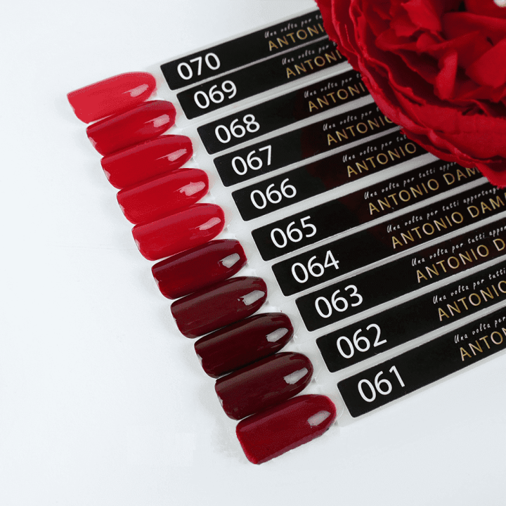 Гель лак ANTONIO DAMATTI 9 мл (067)