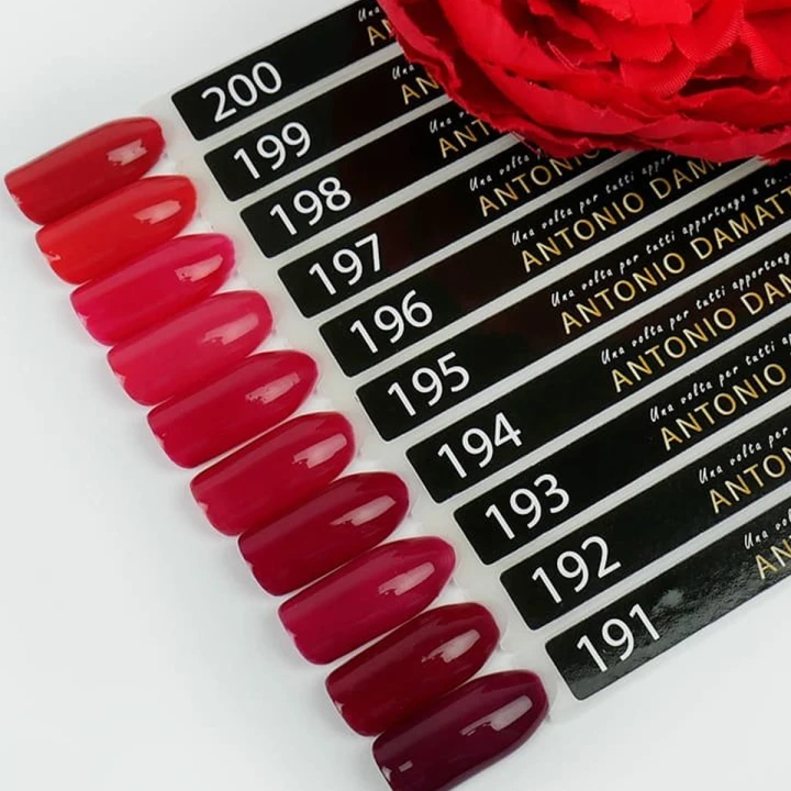 Гель лак ANTONIO DAMATTI 9 мл (193)
