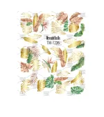 Слайдер DreamNails фольгированный рисунок (TM-1226)