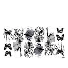 Слайдер YouProfy на прозрачной основе (1803)