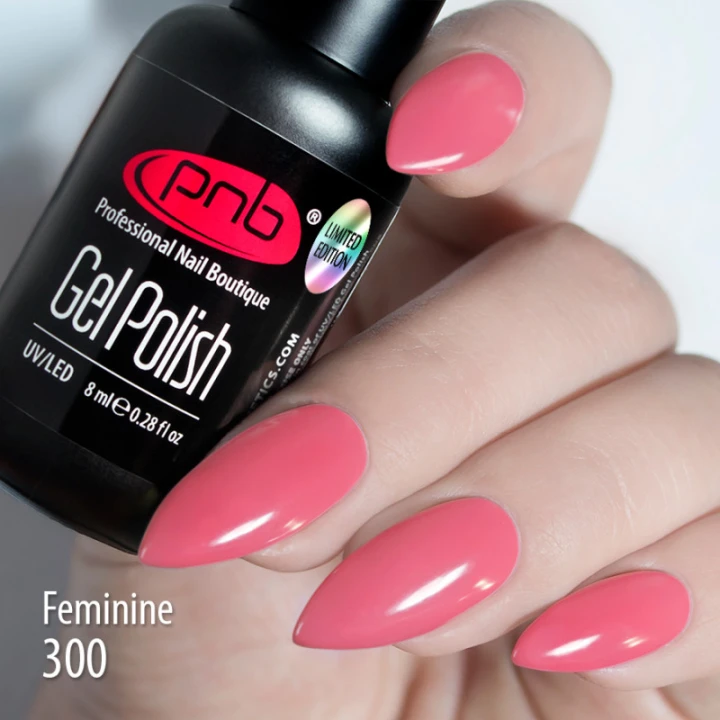 Гель лак PNB 8 мл (300)