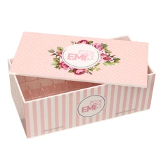 Скринька для фарб E.MI