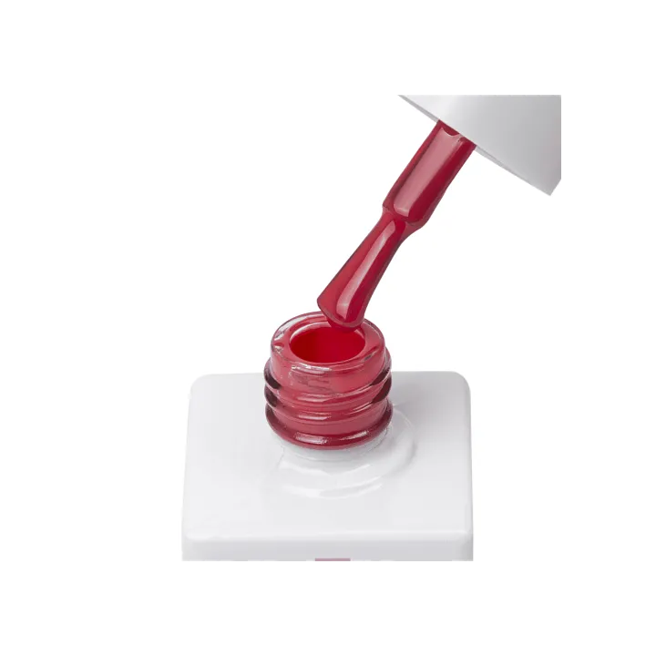 Гель лак JZ NAILS 8 мл (048)