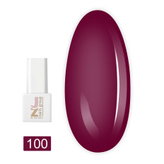 Гель-лак JZ NAILS 8 мл (100)