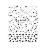 Слайдер DreamNails (для будь-якого фону) (ТS-482)