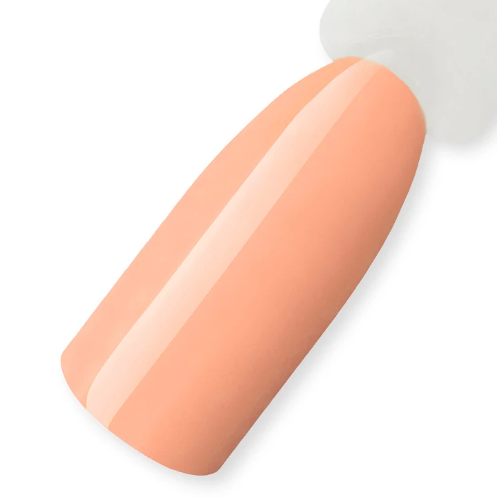 Набор Reforma Best Choice Summer 21