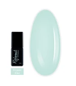 Гель лак Reforma 10 мл (941222 Frosen Kiwi)