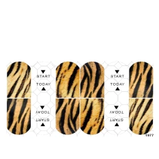 Слайдер YouProfy на прозорій основі (1977)