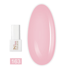 Гель-лак JZ 8 мл (163 Provance)