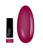 Гель-лак Reforma 10 мл (942918 Rendezvous)