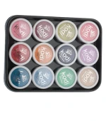 Набір пудр акрилових кольорових 4,5 г 12 шт (01L)