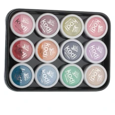 Набор акриловых пудр цветных 4,5 г 12 шт (01L)