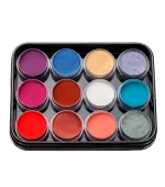 Набір пудр акрилових кольорових 4,5 г 12 шт (06L)