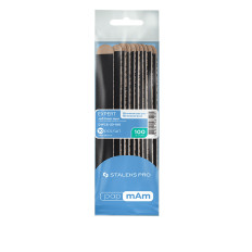 Сменные файлы papmAm мягкие на деревянной основе 100 грит STALEKS PRO EXPERT 20 10 шт (100 grit)