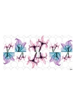 Слайдер YouProfy на прозрачной основе (254)