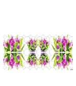 Слайдер YouProfy на прозрачной основе (874)