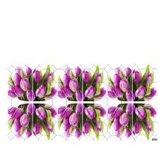 Слайдер YouProfy на прозрачной основе (895)