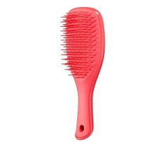 Щетка для волос Tangle Teezer The Wet Detangler Mini (Pink Punch)