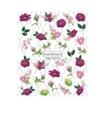 Слайдер DreamNails (SM-1012)