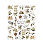 Слайдер DreamNails (SM-1061)