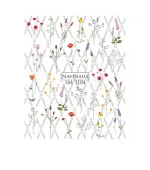 Слайдер DreamNails (SM-1184)