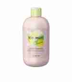 Шампунь для сухого кучерявого й фарбованого волосся Inebrya Shampoo Dry-T 300 мл