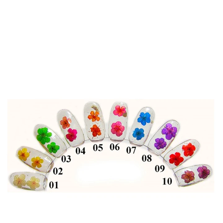 Сухоцвіт mArt (6шт) (07 синій)