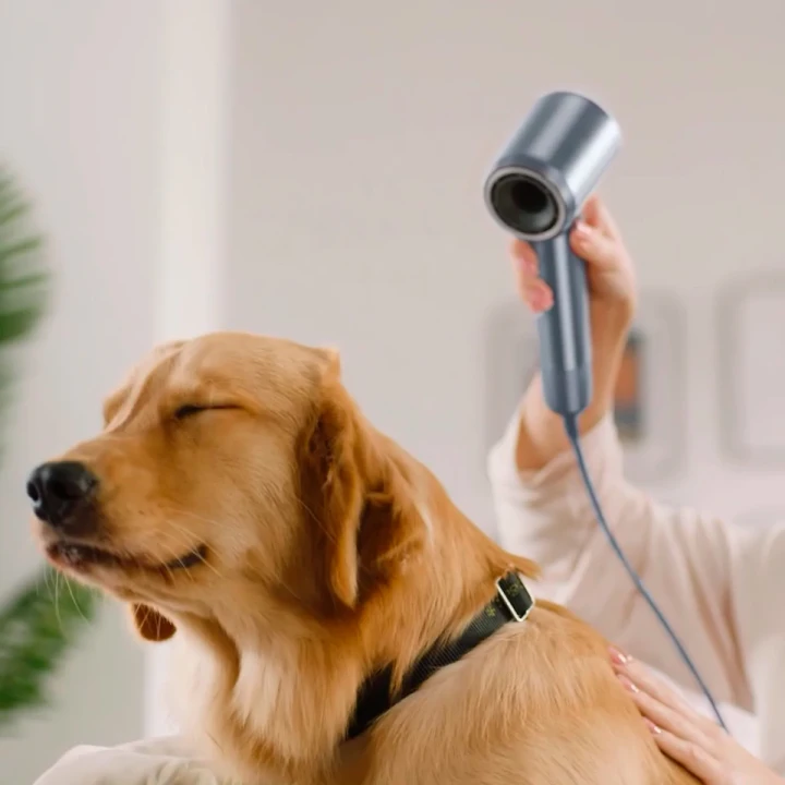 Фен Laifen Swift Special профессиональный с ионизацией 3 насадки (Голубой)