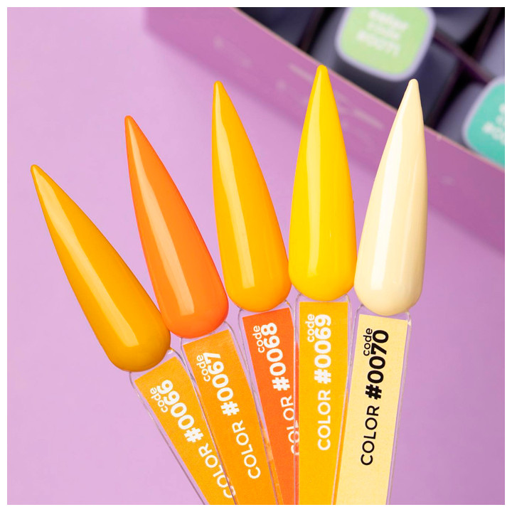 Гель-лак DNKa' Color 12 мл (067)