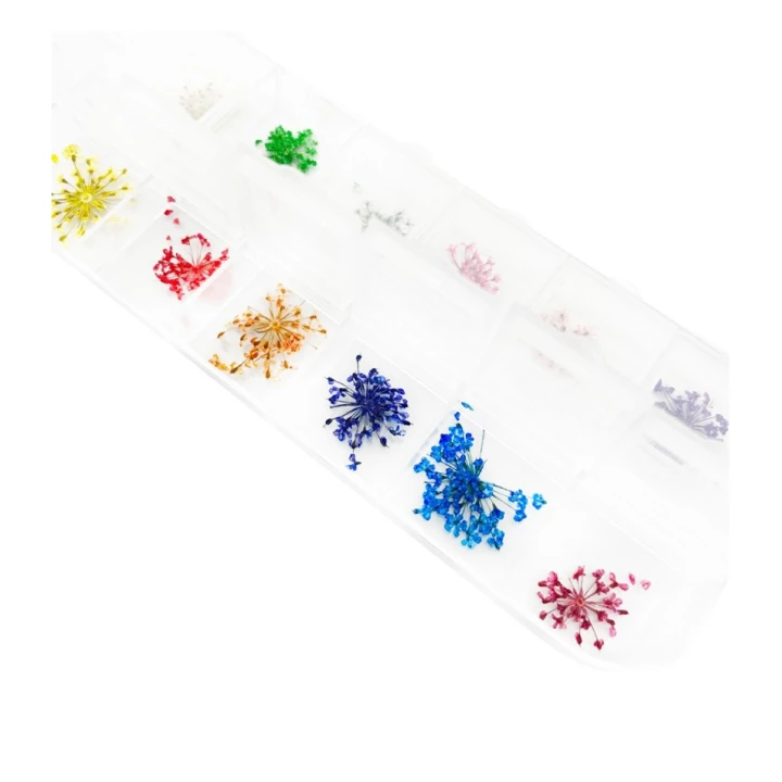 Набор разноцветных сухоцветов в контейнере Фурман (12 цветов)