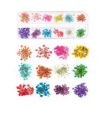 Набор разноцветных сухоцветов в контейнере Фурман (12 цветов)