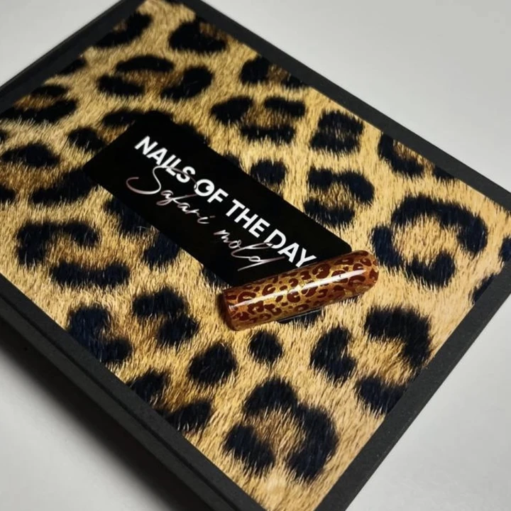 Молди силиконові для верхніх форм NailSofTheDay Mold Safari  (12 розмірів в пакеті) (Вишуканий леопард)