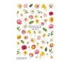 Слайдер DreamNails з білою підкладкою Max (SB-072)