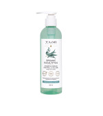 Шампунь для жирных волос T-LAB Professional Organics Organic Eucalyptus Shampoo 250 мл