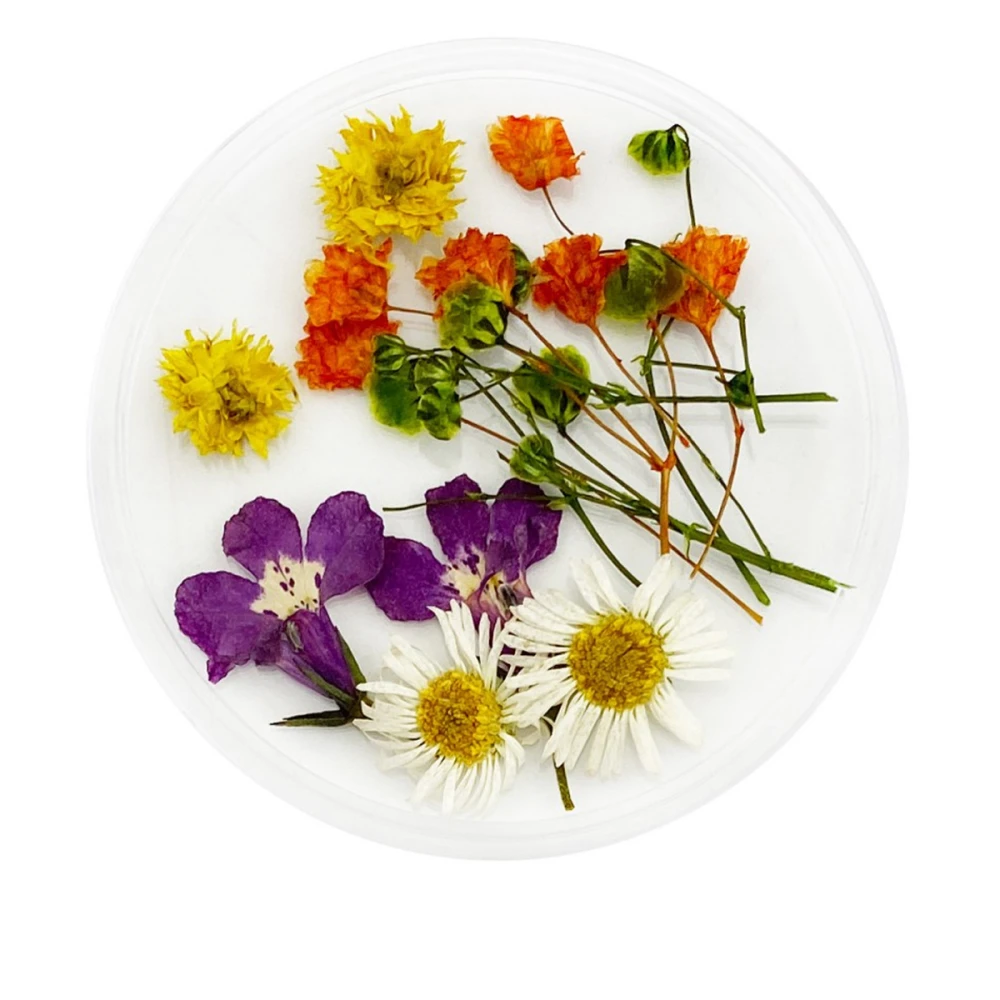 Сухоцветы в плоской баночке Фурман (009)