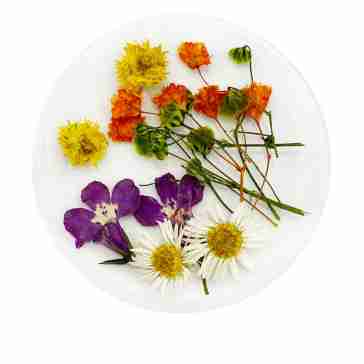 Сухоцветы в плоской баночке Фурман (009)