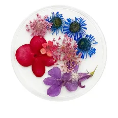 Сухоцвіти у плоскій баночці Фурман (010)