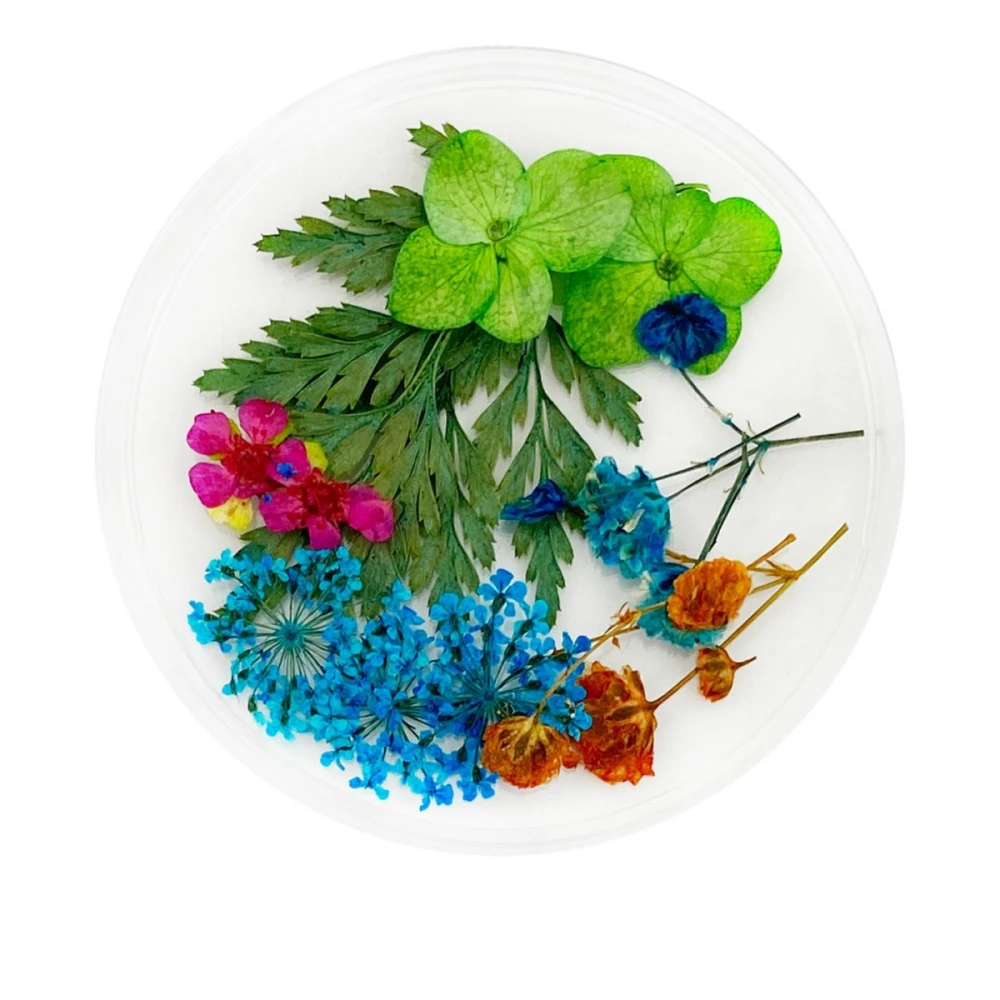 Сухоцветы в плоской баночке Фурман (011)